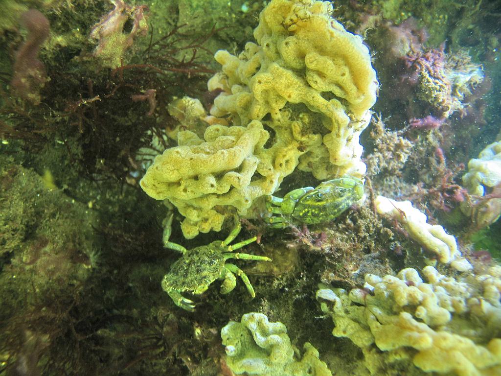 2008-07-20 08-57-07.JPG